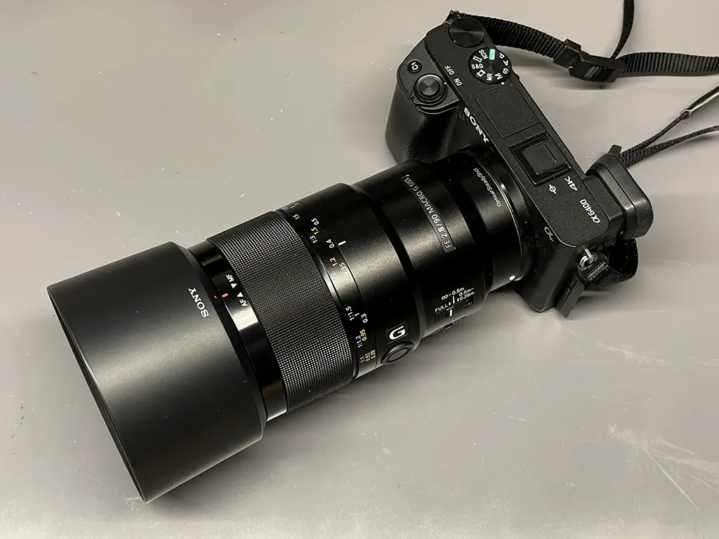 sony 90mm macro_002