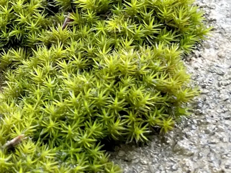 매크로사진 접사사진