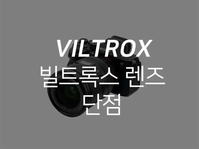 빌트록스_렌즈단점
